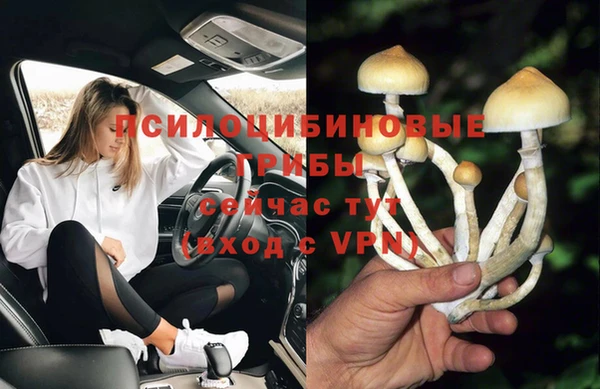 прущая мука Кукмор